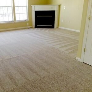 Carpet & Upholstery 10