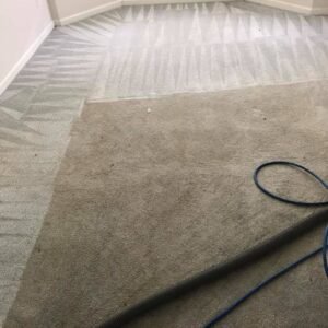 Carpet & Upholstery 9